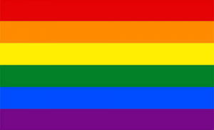 Rainbow Flag (also known as the gay pride flag or LGBTQ pride flag)