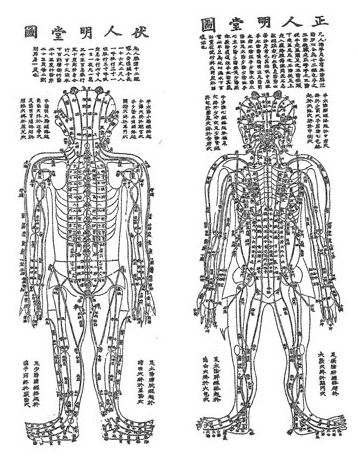 Diagram of Qi force points in human body for acupuncture and moxibustion therapy treatment in inner Melbourne